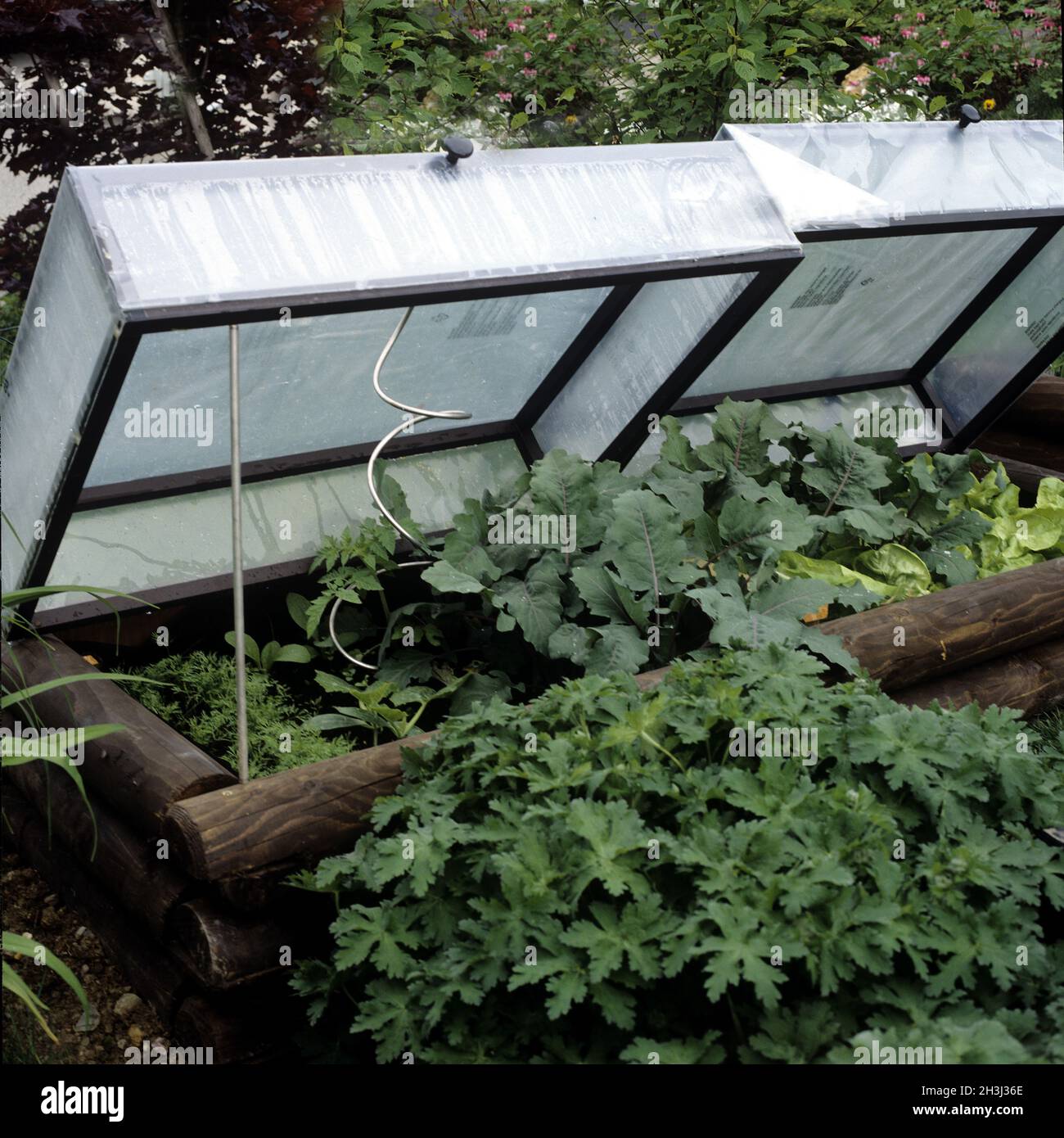 Fruit bed, garden Stock Photo Alamy