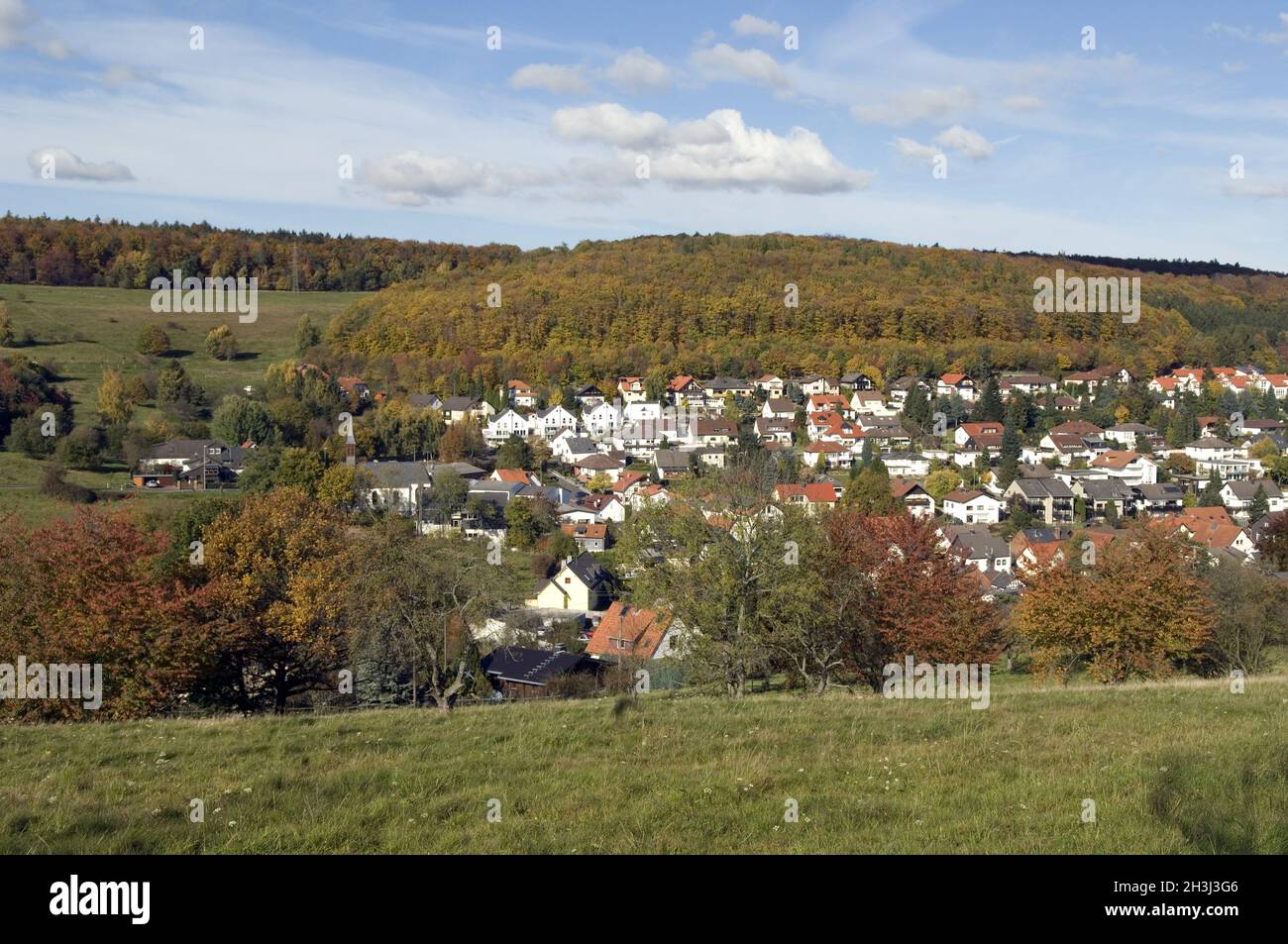 Engenhahn, place, village, Niedernhausen, Rheingau-Taunus-Kreis, Stock Photo
