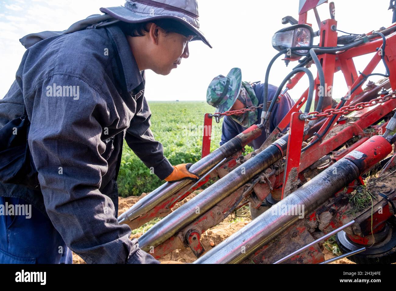 Labourers from Thailand working with machinery on the Alumim Kubbutz in the negev desert, southern Israel Stock Photo