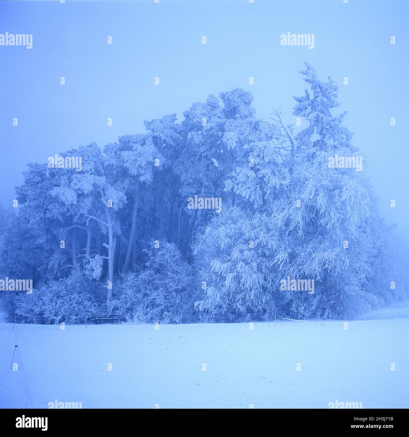 Winter landscape, Taunus, Stock Photo