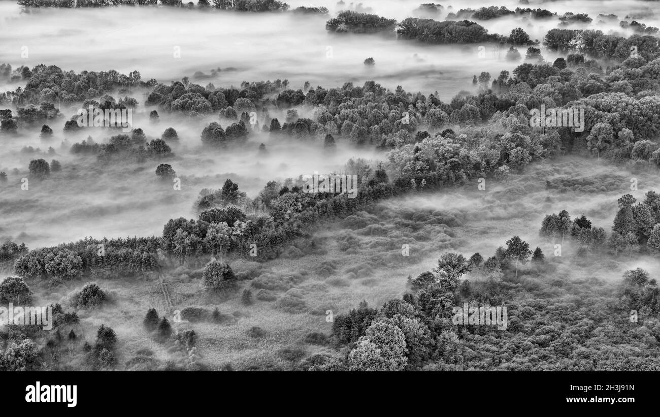 Aerial view foggy forest Black and White Stock Photos & Images - Alamy