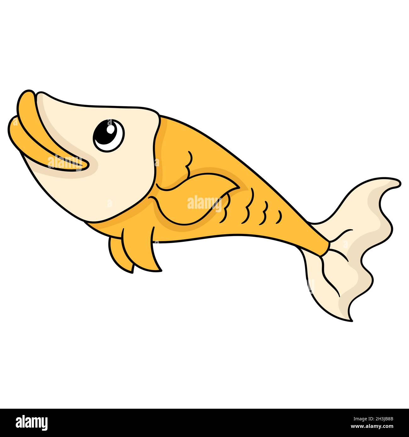 Tilapia fish image Stock Vector Images Alamy