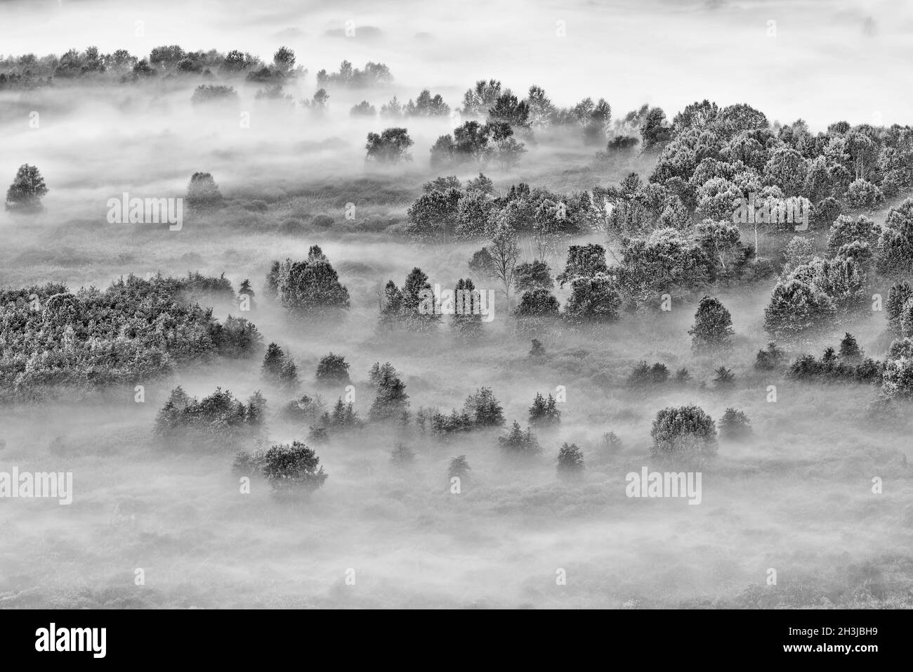 Aerial view foggy forest Black and White Stock Photos & Images - Alamy