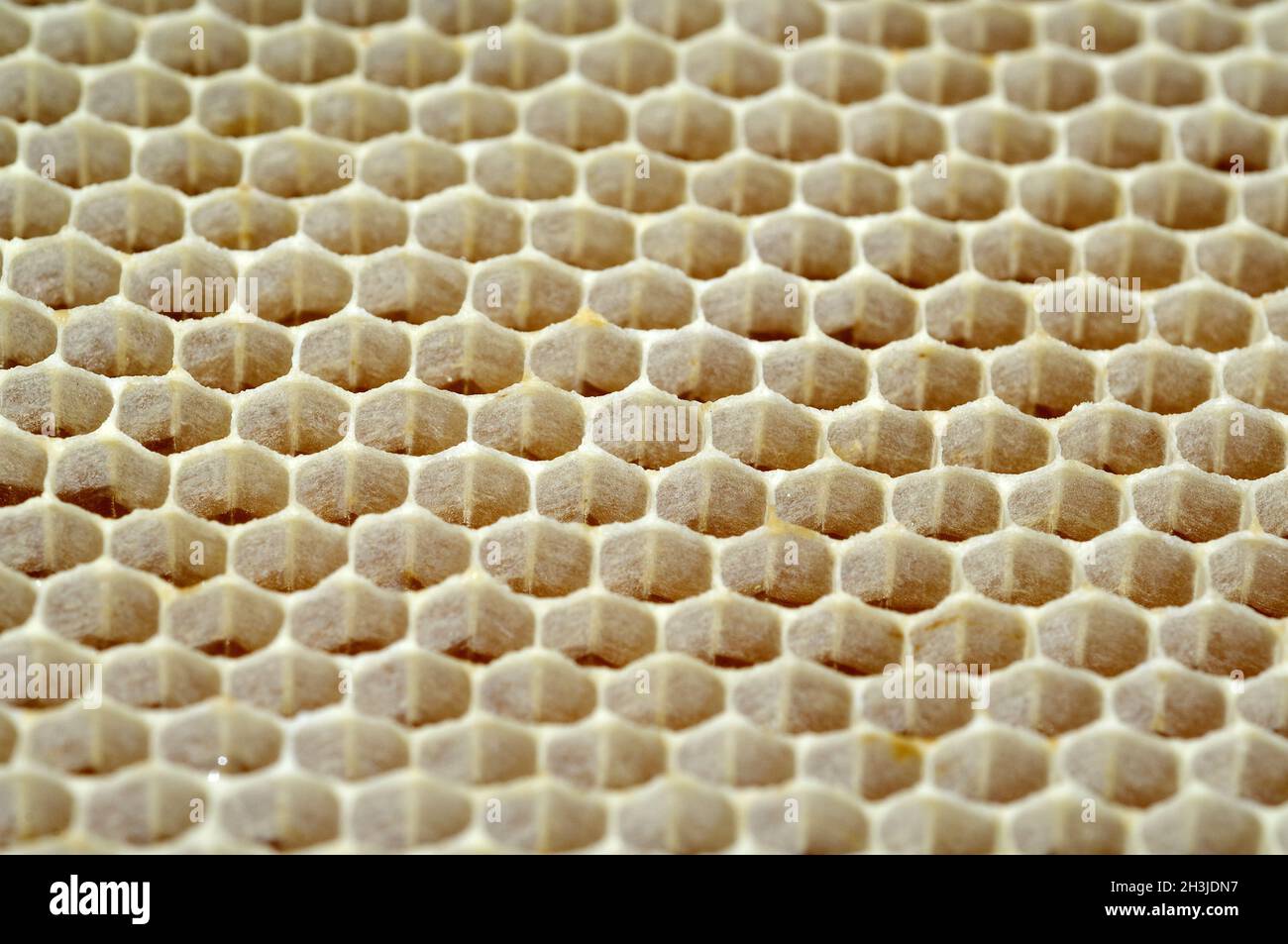 Honeycomb, honeycomb, beeswax, wax, beehive Stock Photo