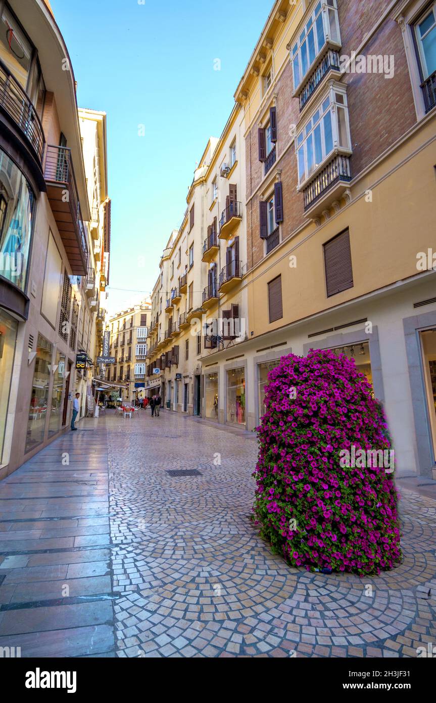 MALAGA - JUNE 12: City street view with cafeteria terraces and shops on June 12, 2013 in Malaga, Spain. Stock Photo