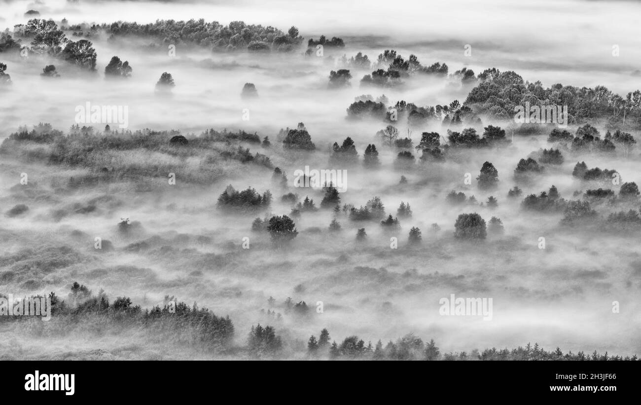 Aerial view foggy forest Black and White Stock Photos & Images - Alamy