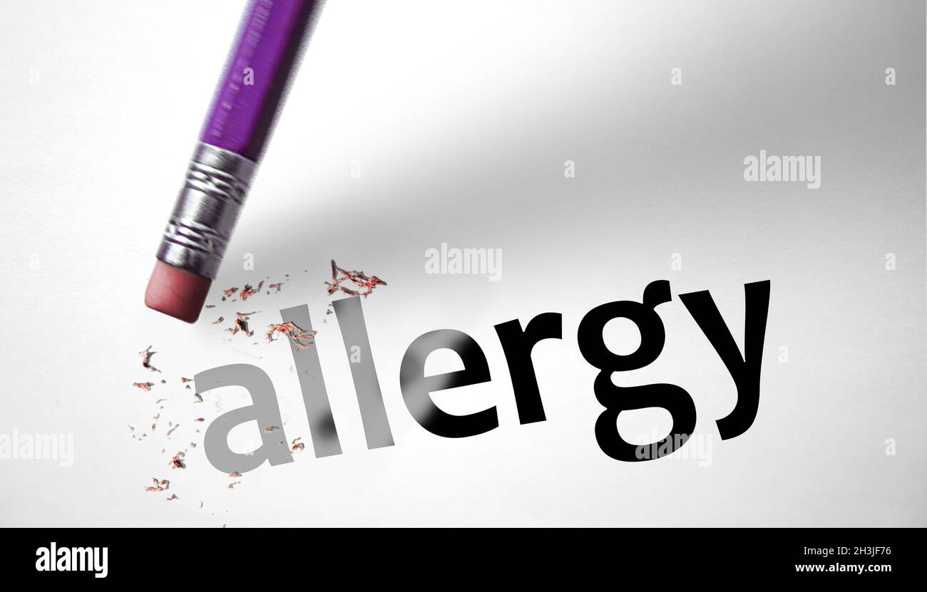 Eraser deleting the word Allergy Stock Photo Alamy
