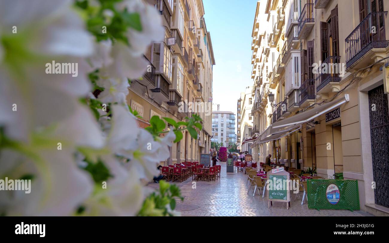 MALAGA - JUNE 12: City street view with cafeteria terraces and shops on June 12, 2013 in Malaga, Spain. Stock Photo