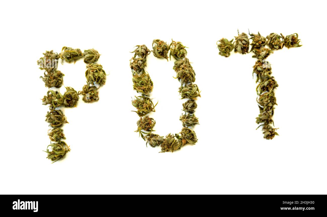 The word Pot written with marijuana buds Stock Photo Alamy
