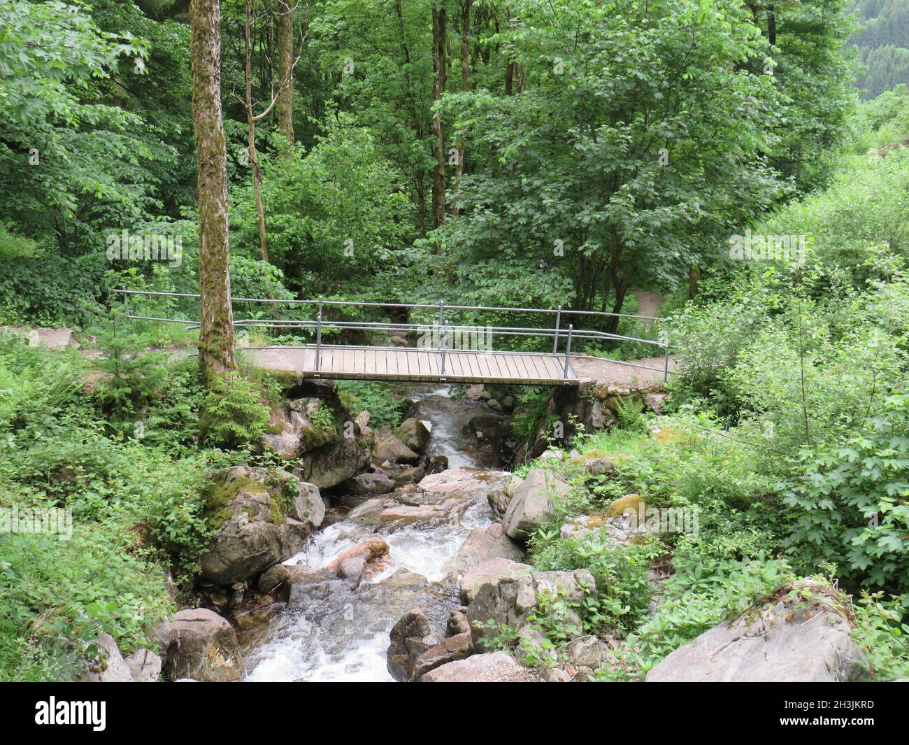 Wooden bridge across a river in the forest Stock Photo - Alamy