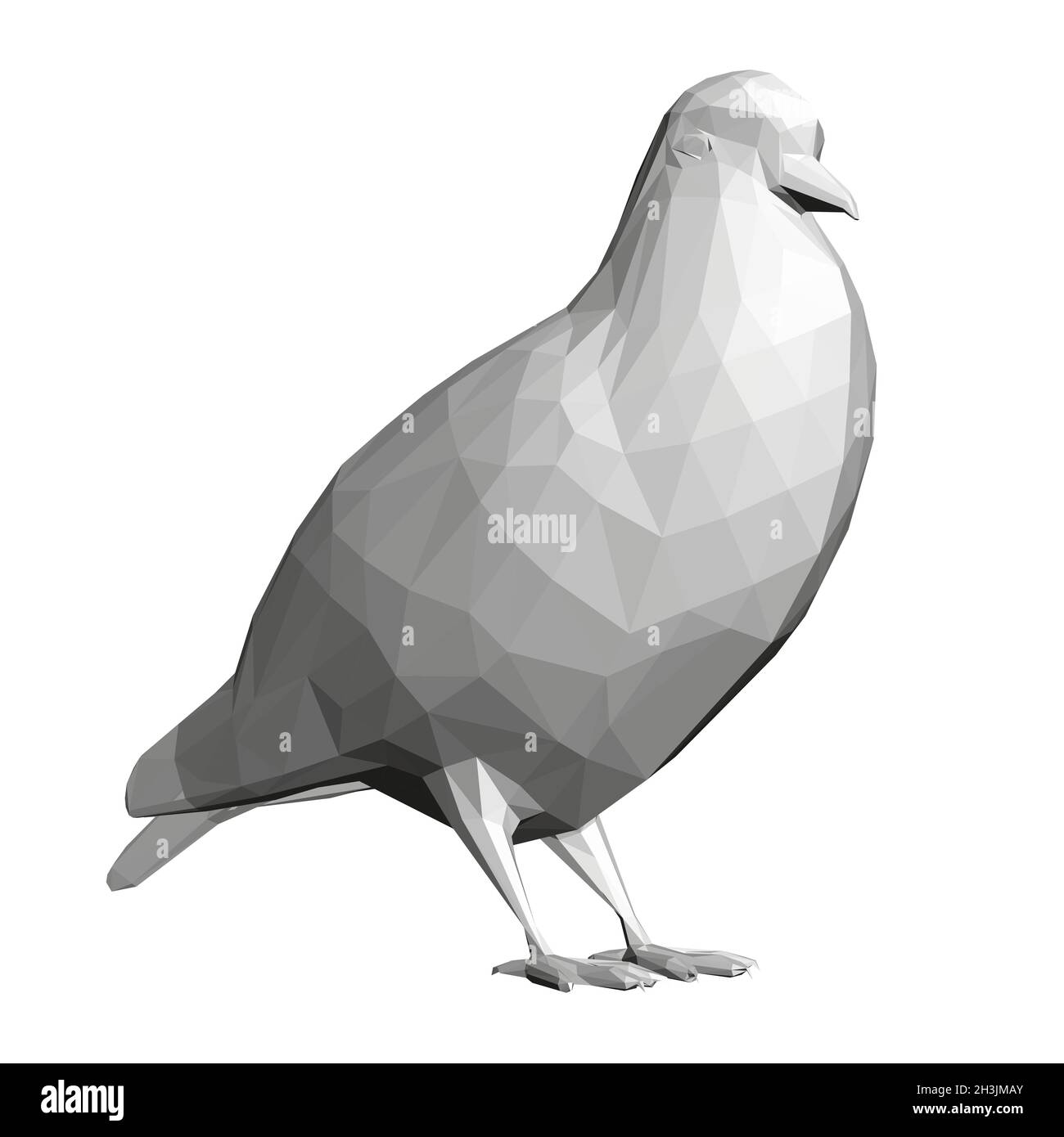 Gray low poly pigeon isolated on white background. 3D. Vector illustration  Stock Vector Image & Art - Alamy
