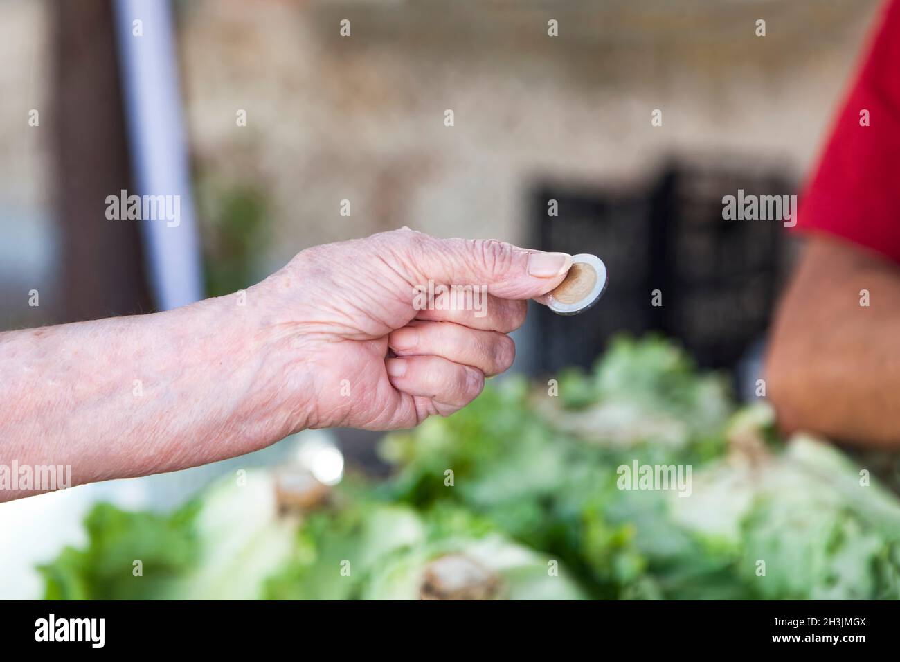 Close up of senior lady's hand paying groceries with a two euros coin Stock Photo