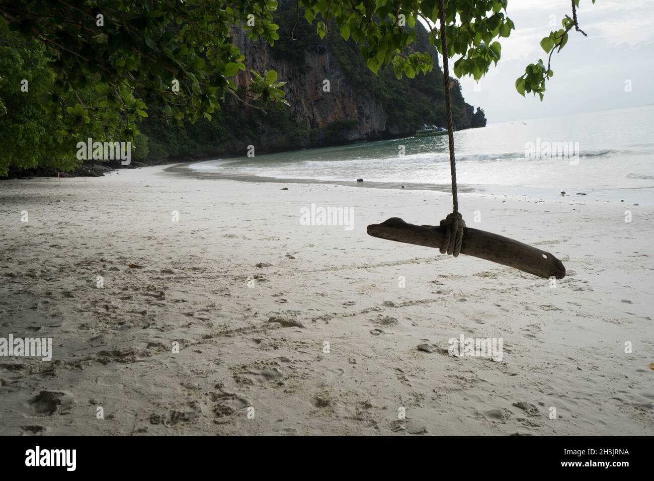 Rope swing with wooden bar hanging under the tree on a beach of