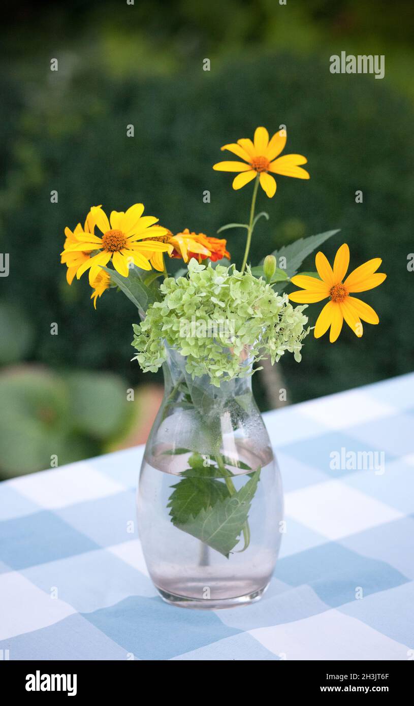 Vase with yellow flower in Stock Photo Alamy