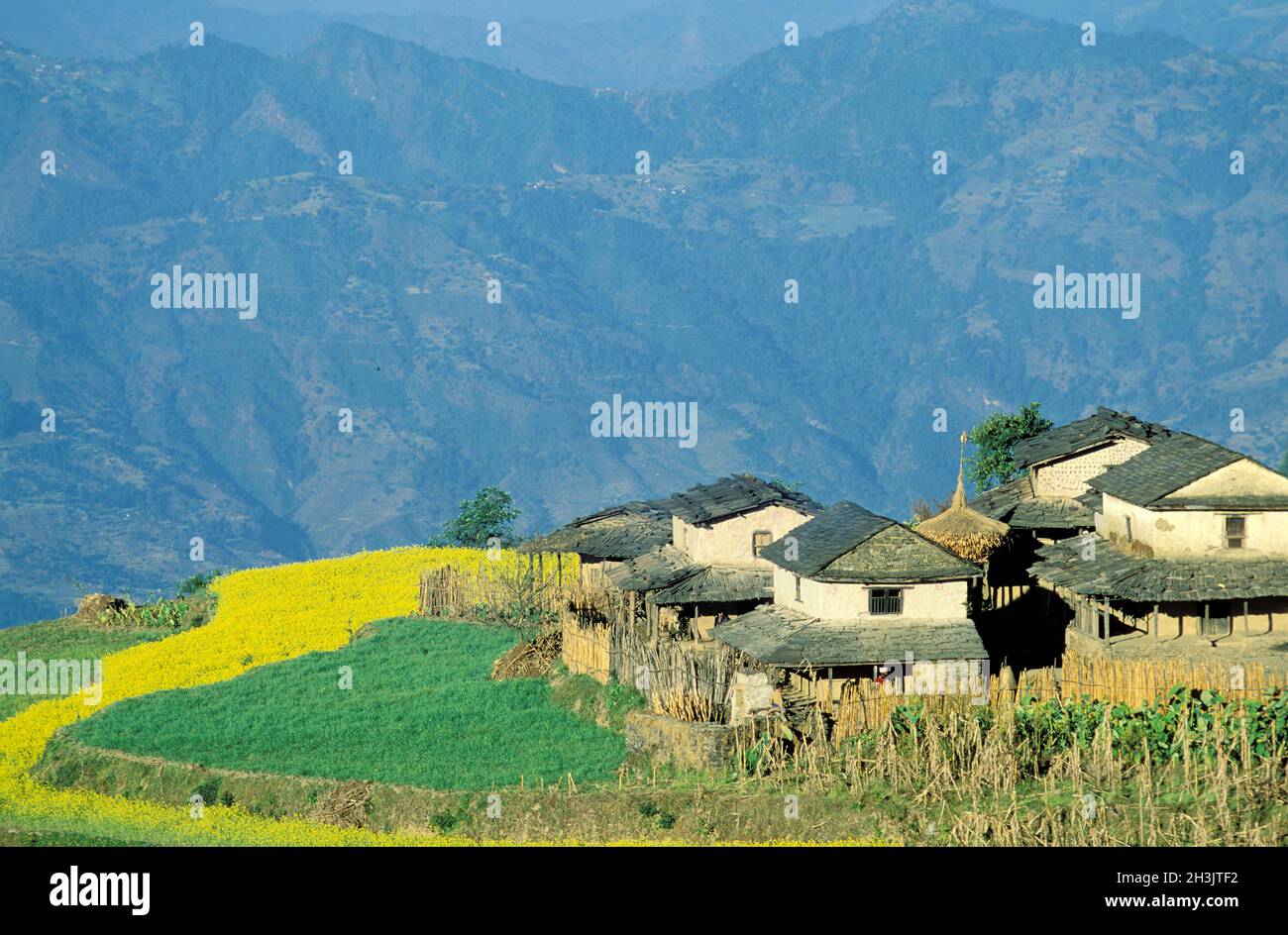 Nepal,  Region de Gorkha, Village gurung de Barpak Stock Photo