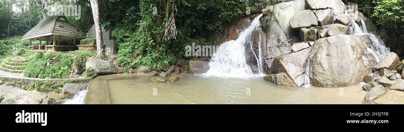 Thick tropical forest hi-res stock photography and images - Alamy