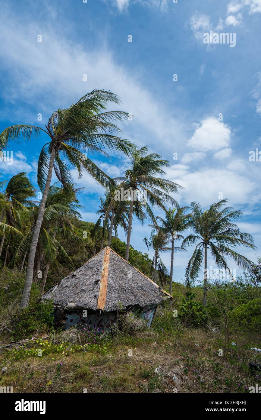 Small house with thatched roof between palm trees Stock Photo