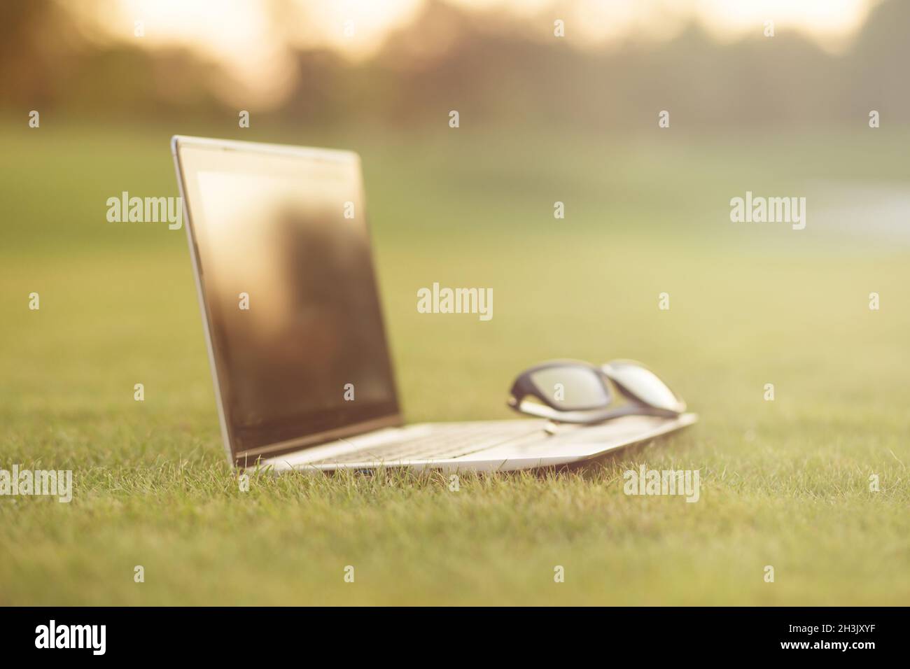 Freelancer glasses hi-res stock photography and images - Alamy
