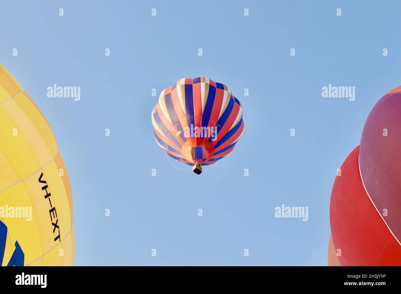 Hot air balloons launching at Canowindra International Balloon Challenge 2018, NSW Australia Stock Photo