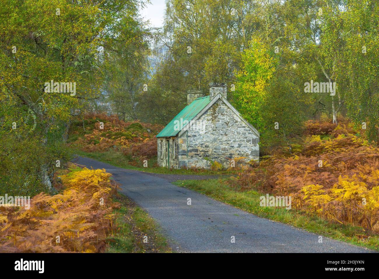 Glen Strathfarrar in Autumn.  A beautiful glen in the Highlands of Scotland with single track road and stone bothy or sheep barn on the right.  Golden Stock Photo