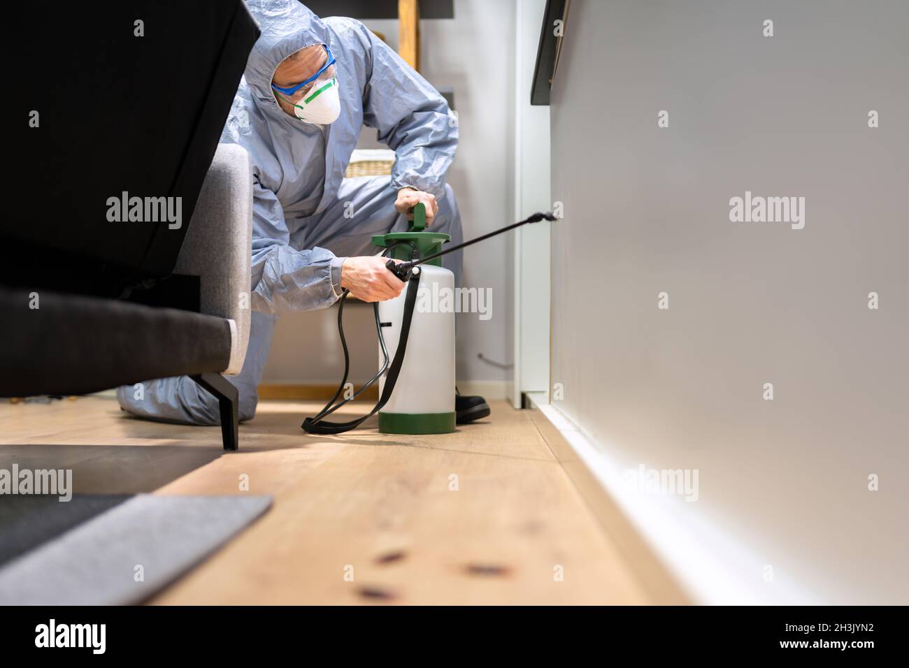 Pest Control Exterminator Man Spraying Termite Pesticide At Home Stock Photo