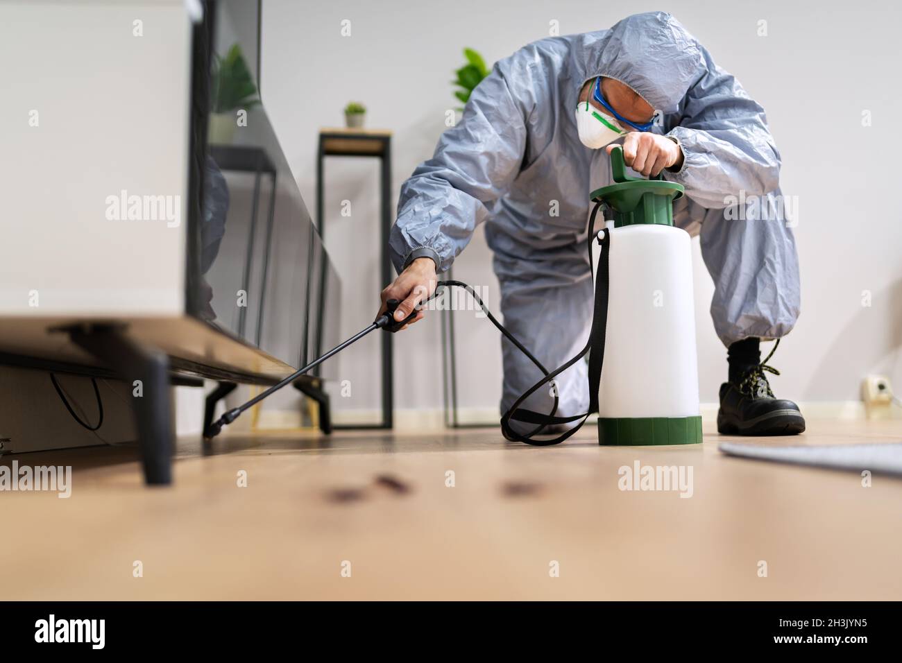 Pest Control Exterminator Man Spraying Termite Pesticide At Home Stock Photo