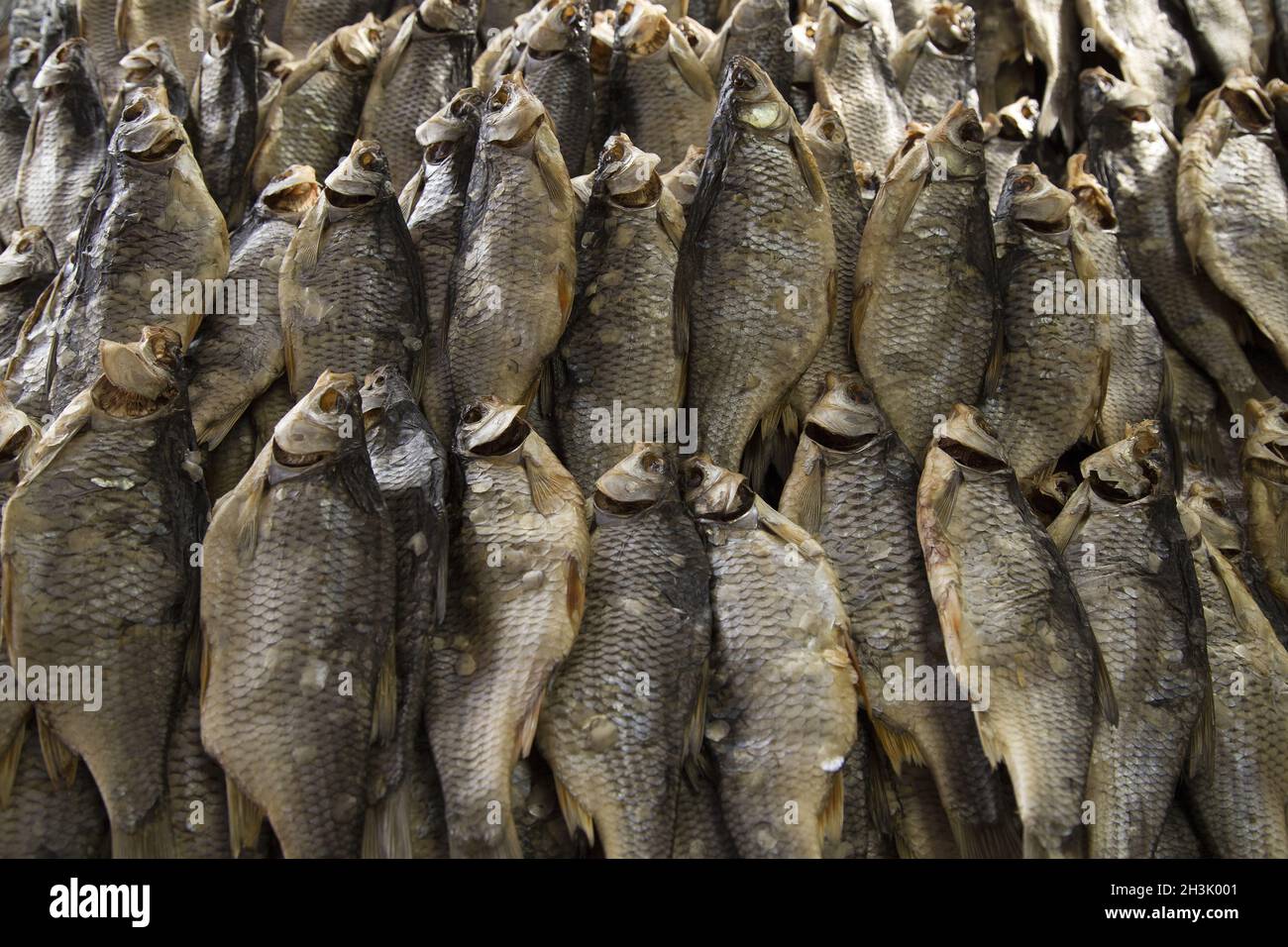 Dried fish on the table. Salty dry river fish as background, top view