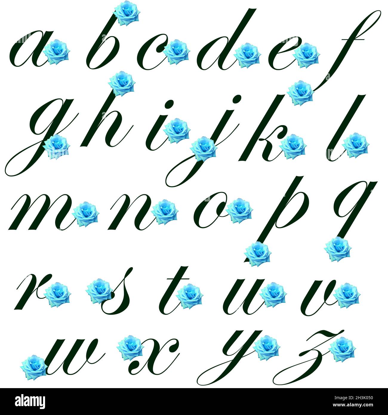 english alphabet with blue roses Stock Photo Alamy