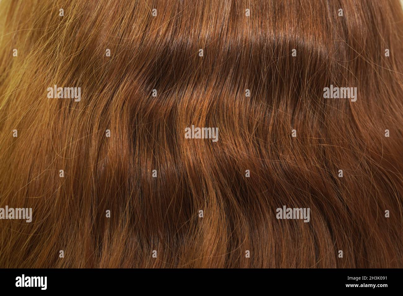 Long natural wavy brown hair. Back view. Stock Photo