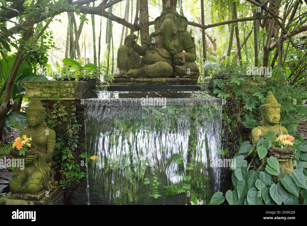 Waterfall garden plants hi-res stock photography and images - Alamy