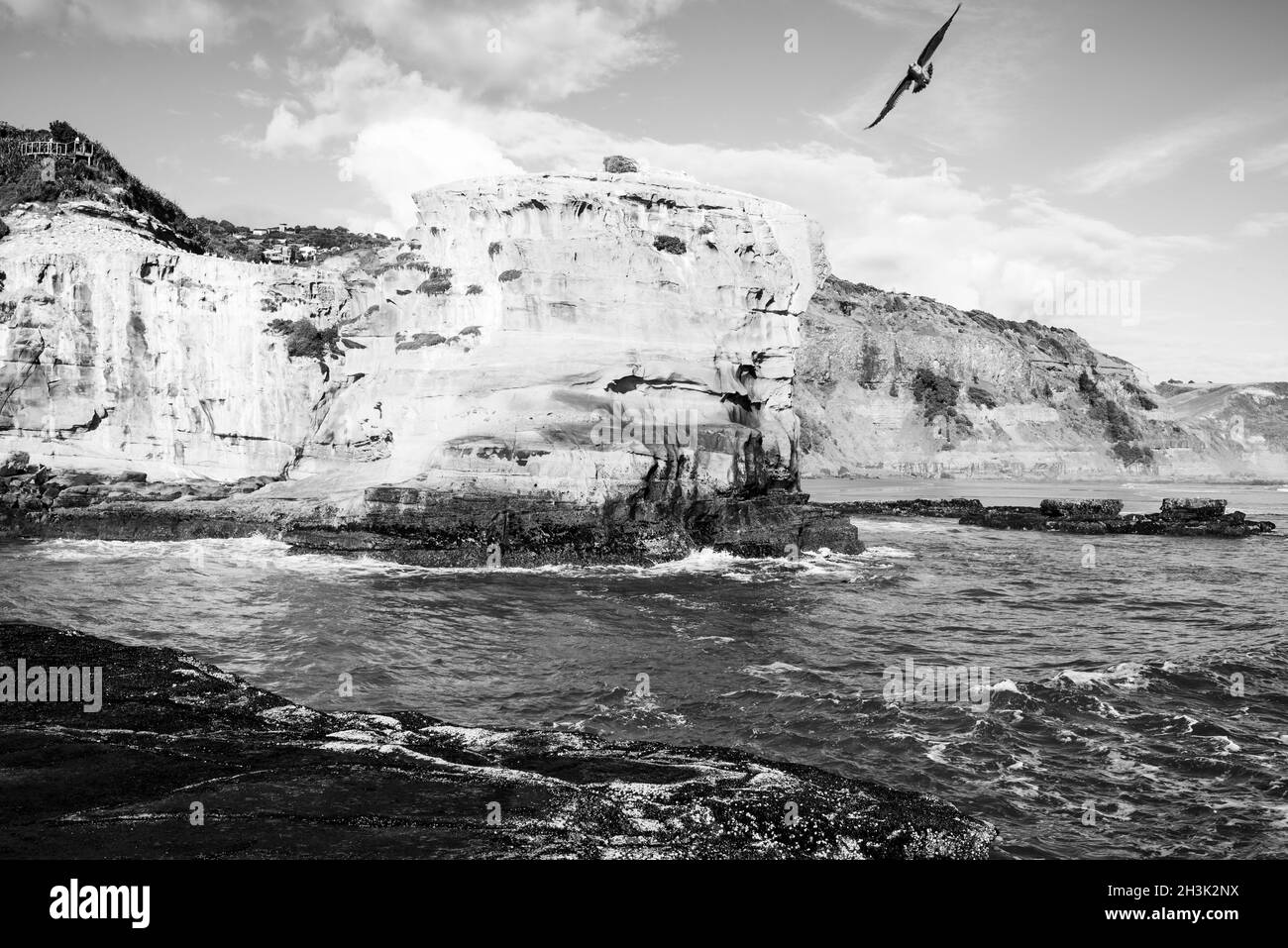 Auckland Region, New Zealand. High tide at Muriwai Stock Photo