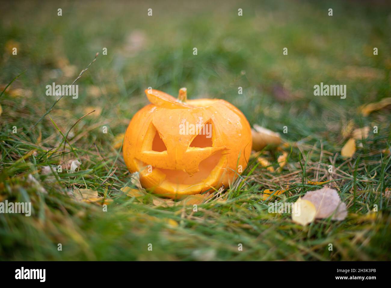 pb halloween pb halloween