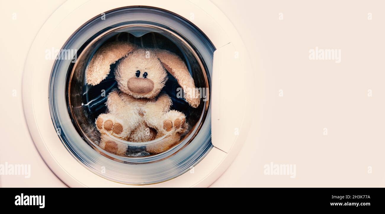 Stuffed rabbit in the laundry with copy space Stock Photo - Alamy