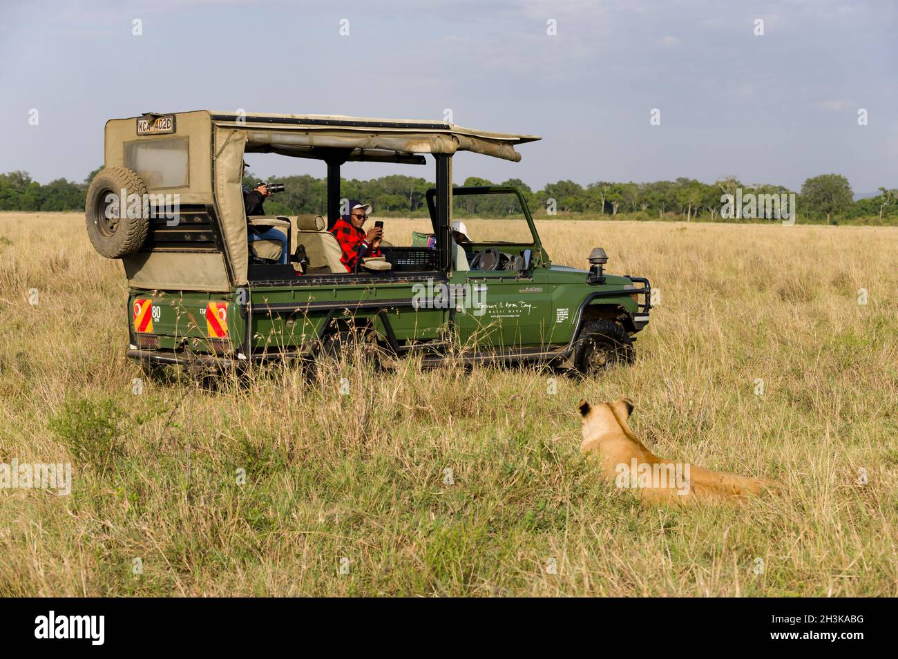 Tourists sat watching a lion in an open 4x4 Toyota Landcruiser, Masai Mara, Kenya Stock Photo
