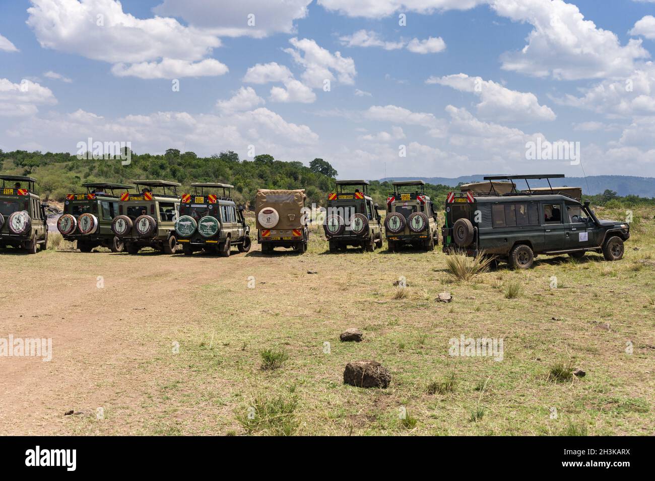 A row of 4x4 Toyota Landcruiser safari vehicles with tourists parked by the Mara river waiting for animals to cross, Masai Mara, Kenya Stock Photo