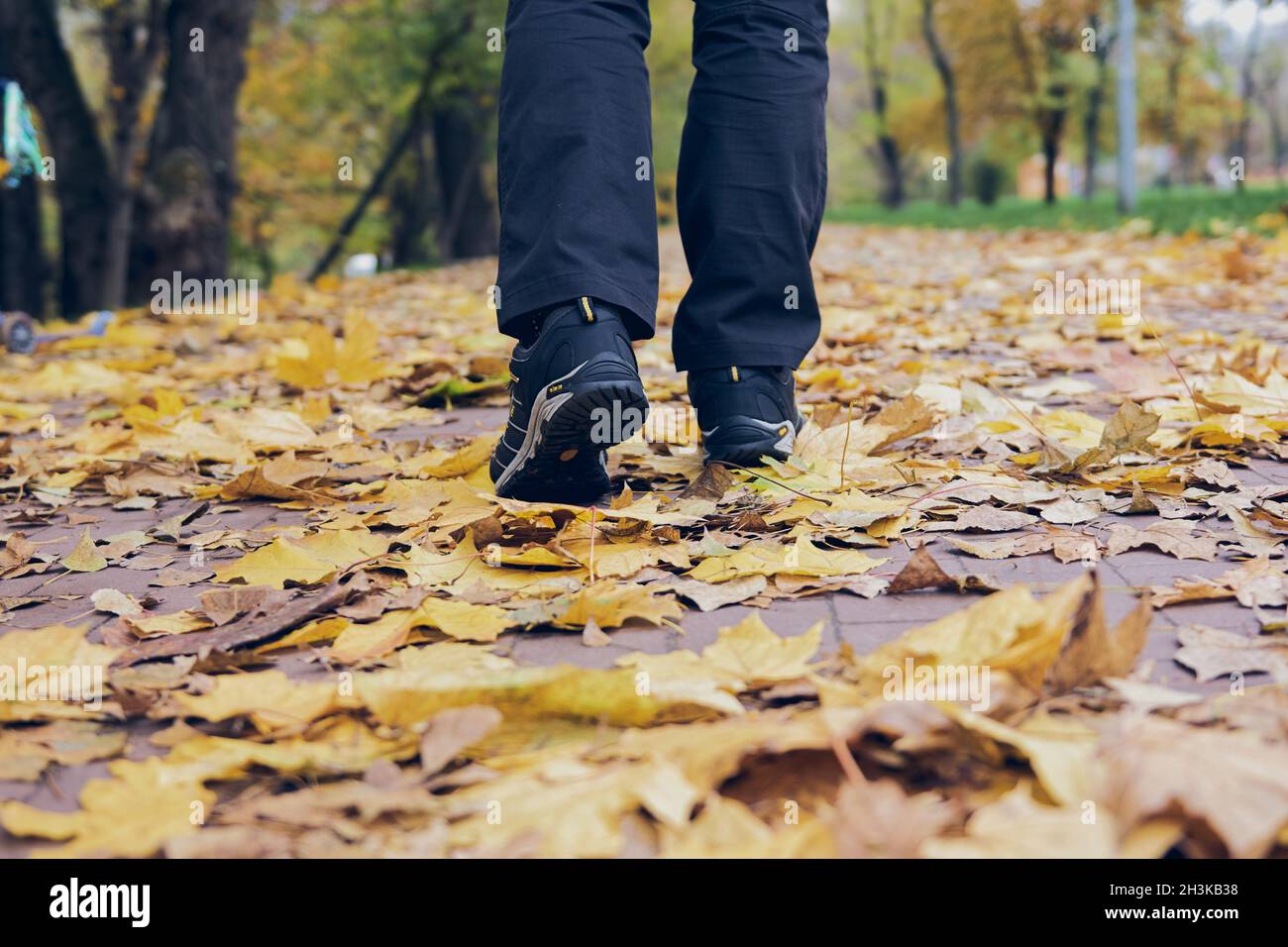 Man walks in autumn park. Top View of hiking Boot on the trail. Close-up Legs In Jeans And sport trekking shoes in the forest. Stock Photo