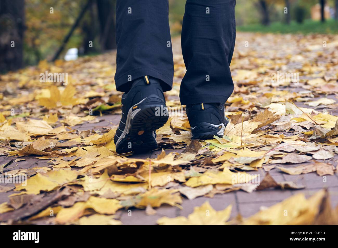 Man walks in autumn park. Top View of hiking Boot on the trail. Close-up Legs In Jeans And sport trekking shoes in the forest. Stock Photo