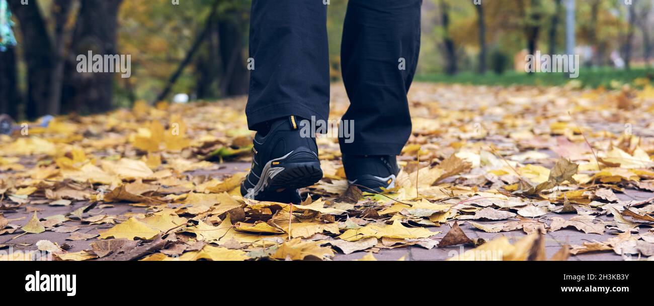 Man walks in autumn park. Top View of hiking Boot on the trail. Close-up Legs In Jeans And sport trekking shoes in the forest. Stock Photo