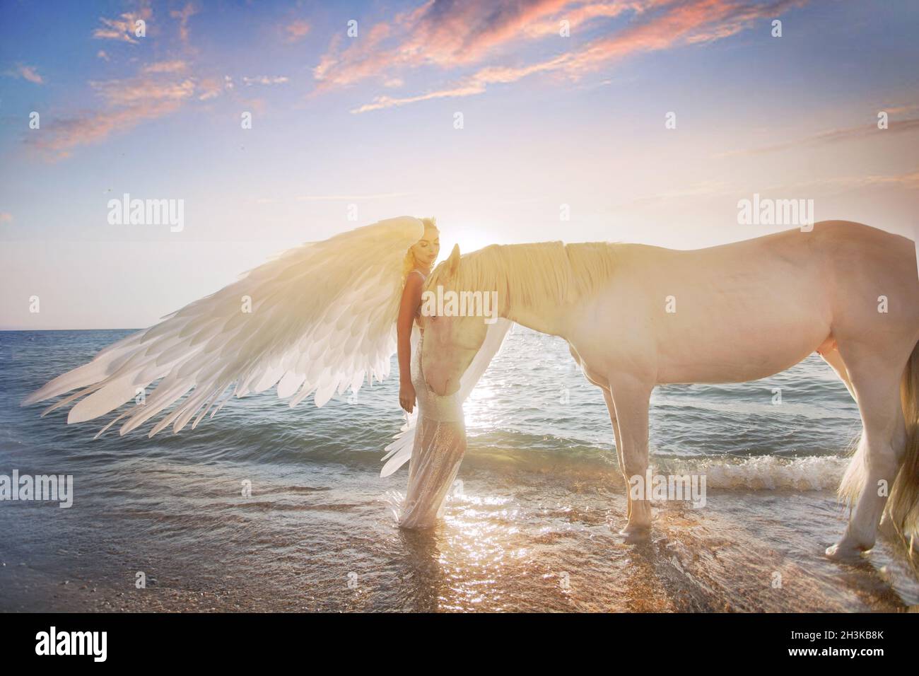 pretty young lady riding a horse on the beach in early morning Stock ...
