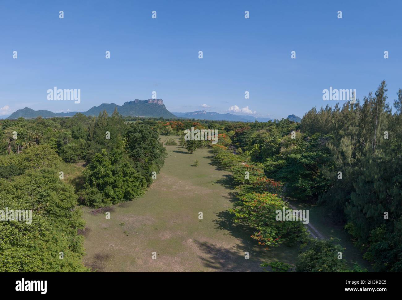 Aerial view of green fields in Thailand Stock Photo