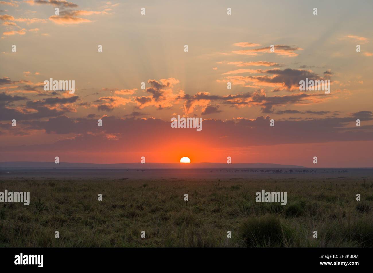 Red sun at sunrise over the open grass plains, Masai Mara, Kenya Stock Photo