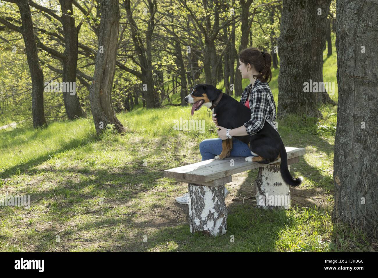 Girl on bench with dog hi-res stock photography and images - Alamy