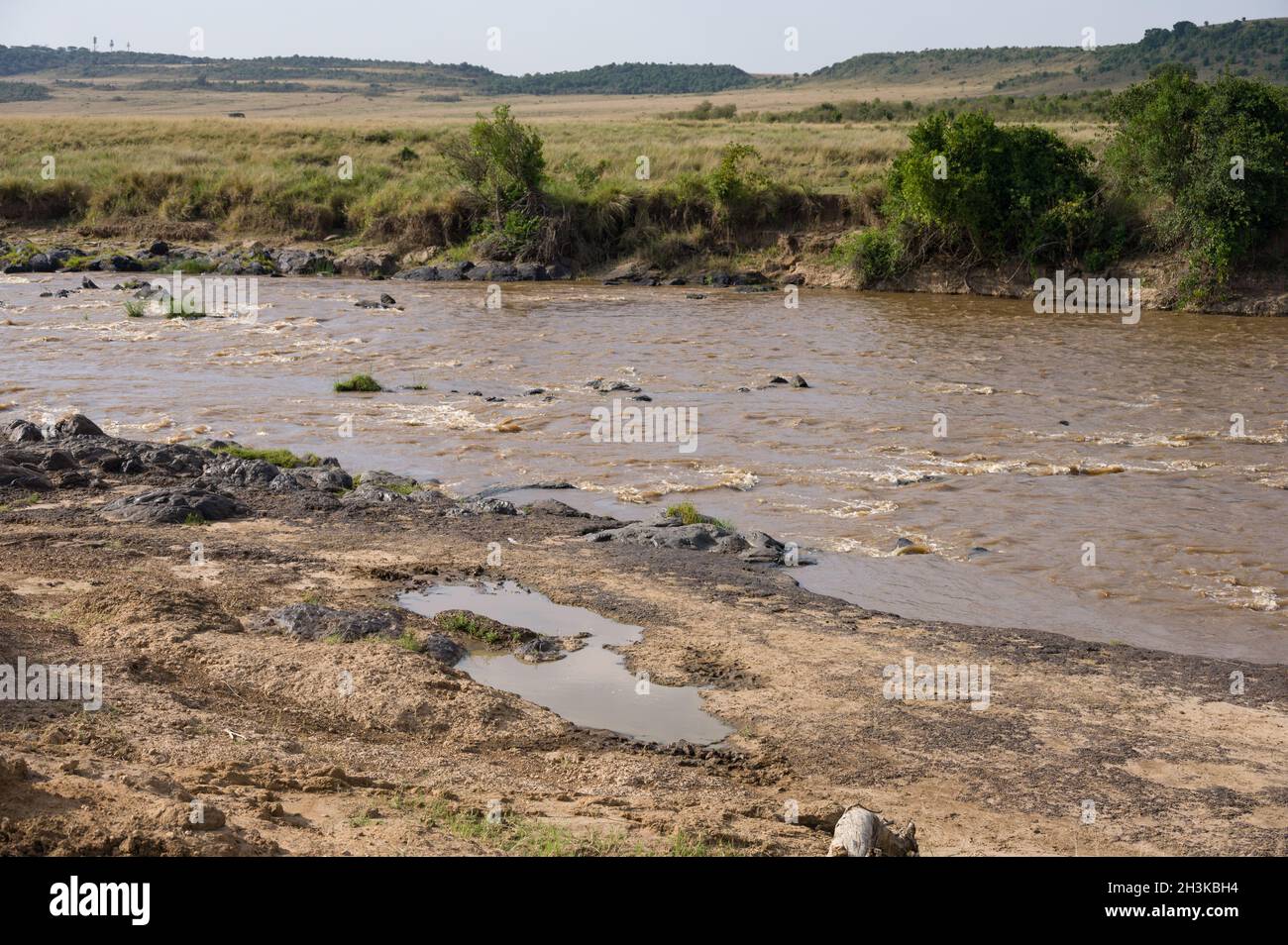 View of the Mara river flowing through the open grassland of the Masai Mara, Kenya Stock Photo
