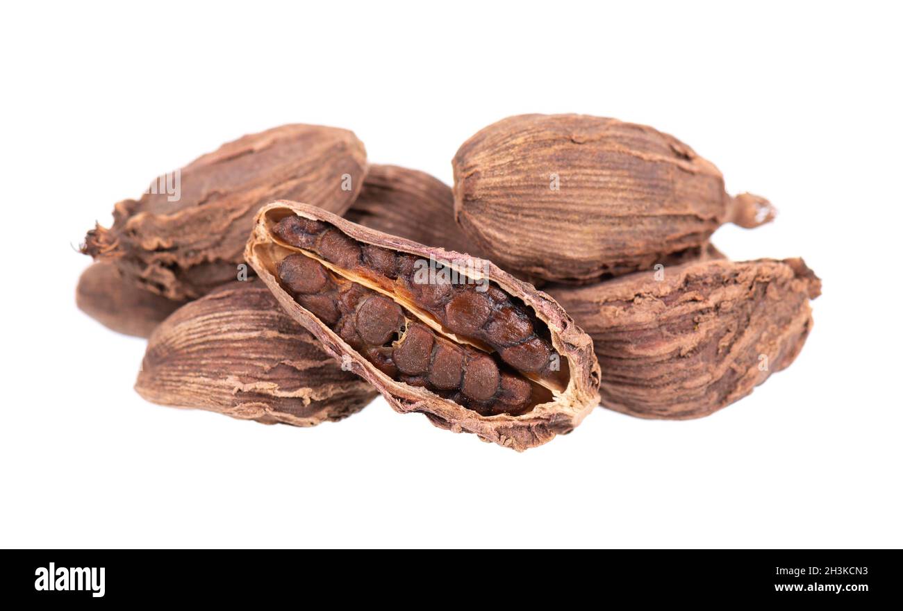 Heap of black cardamom pods isolated on white background. Black