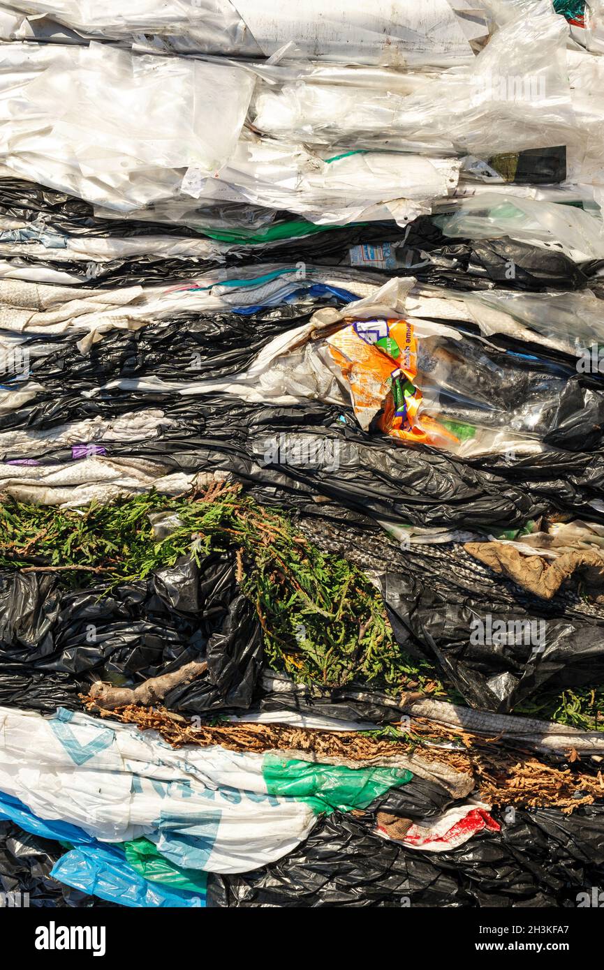 Cellophane Extruded Material for Processing in a Factory PET Stock ...