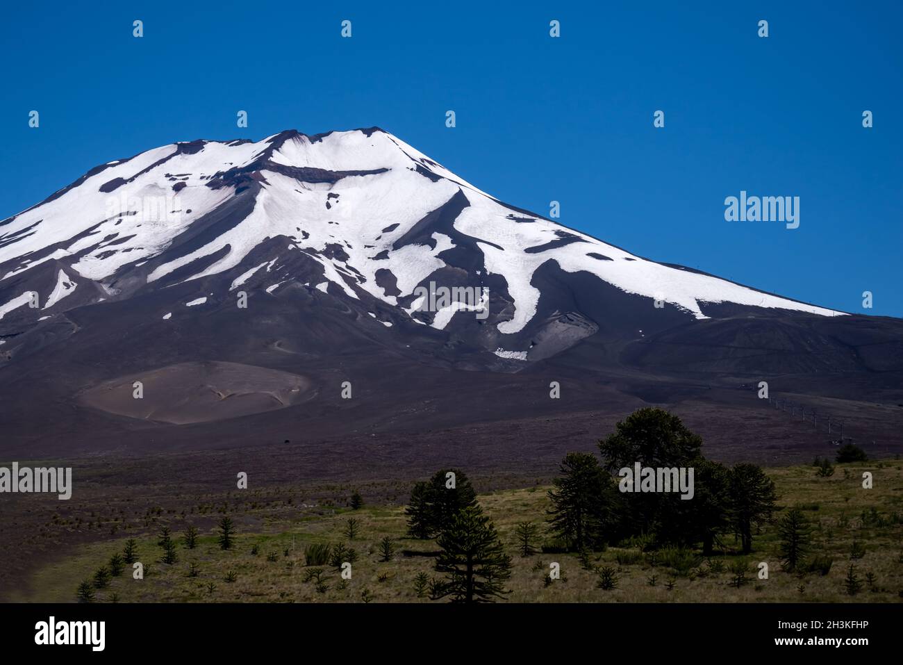 The volcano Lonquimay Stock Photo