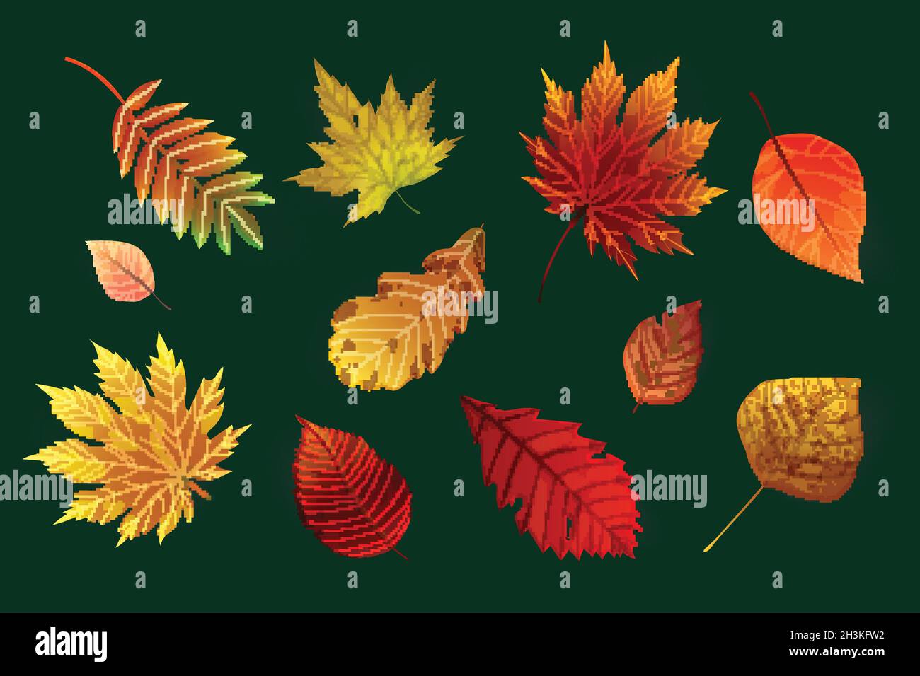 realistic style autumn leaves collection vector design illustration ...