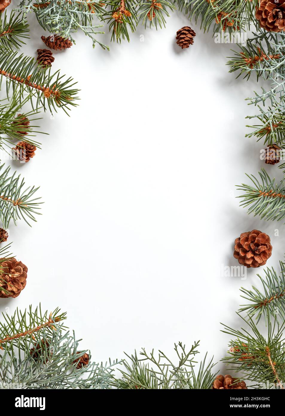 Fir tree branches with cones border isolated on white Stock Photo