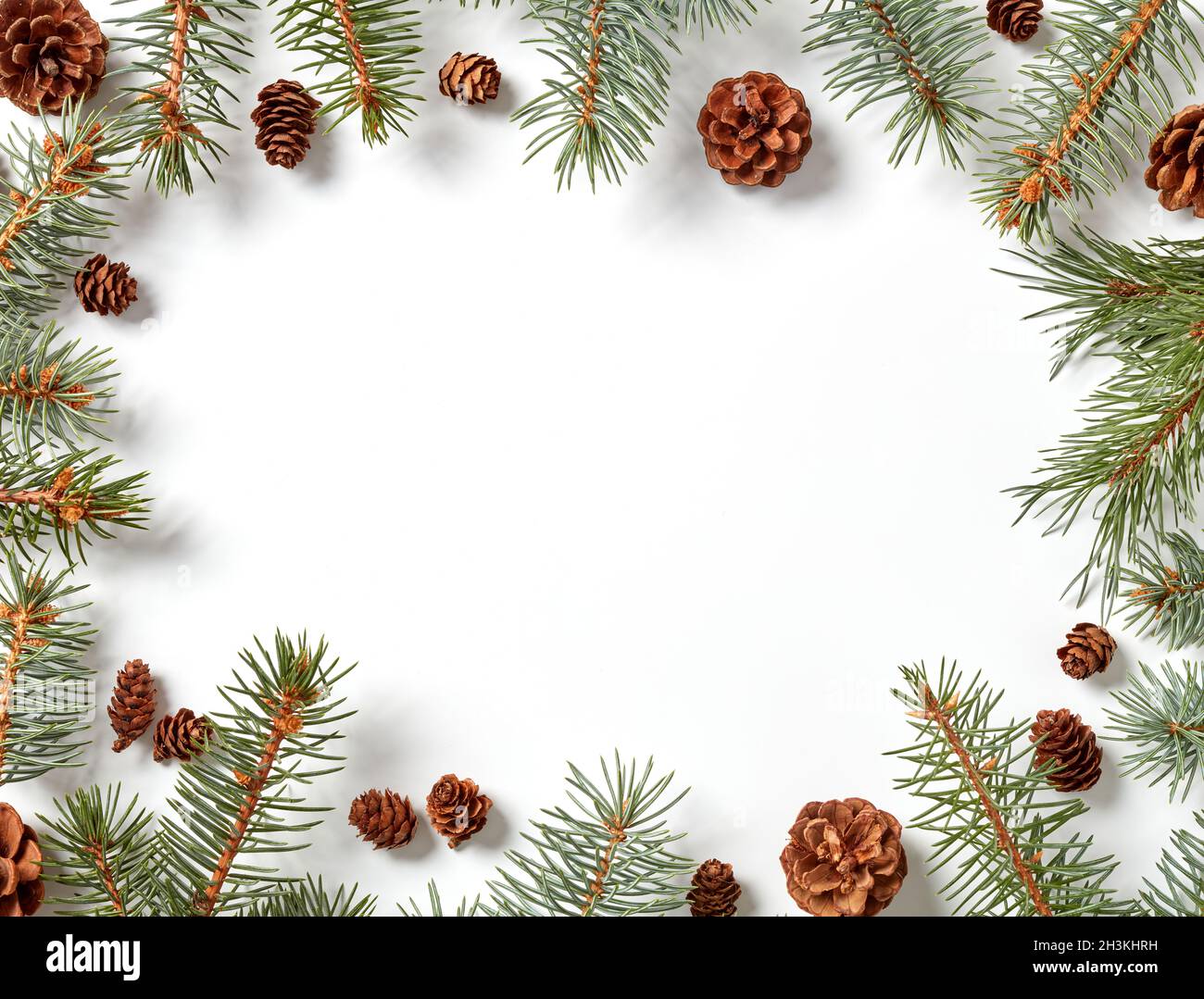 Fir tree branches with cones border isolated on white Stock Photo