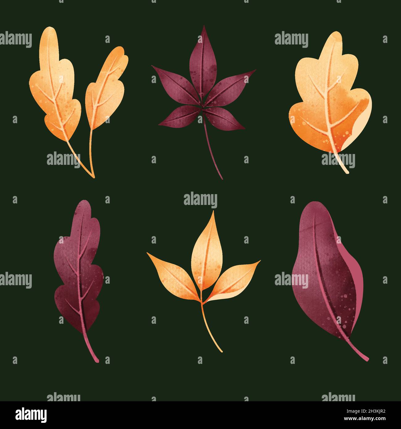 watercolor style autumn leaves collection vector design illustration ...